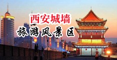 性爱欧美s8.com品善网中国陕西-西安城墙旅游风景区