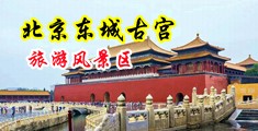 用大屌捅逼视频中国北京-东城古宫旅游风景区
